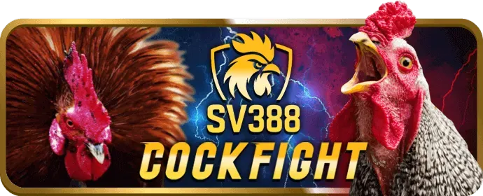 Cá cược thể thao tại zo88